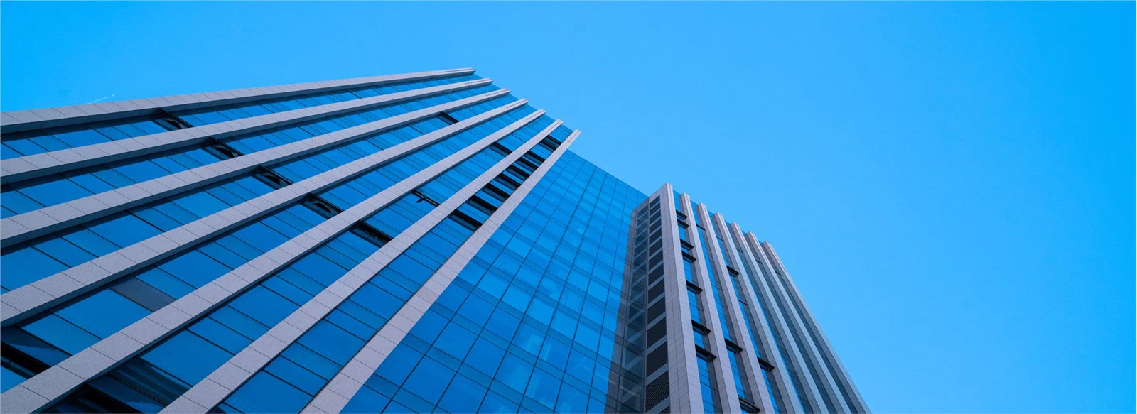 Shandong  Jingqin  Pengepakan  Produk  Co, Ltd